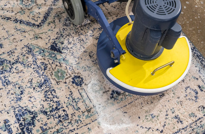 Professional worker cleaning oriental rug