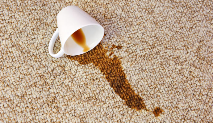 Visible coffee stain spilled from a cup on the rug