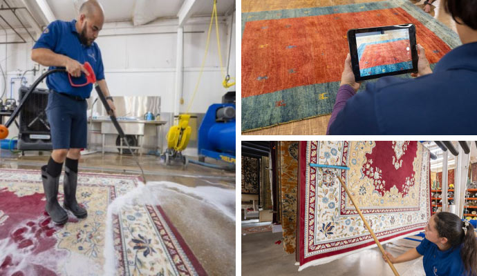 collage of rug cleaning process