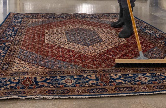 Professional rug cleaning service