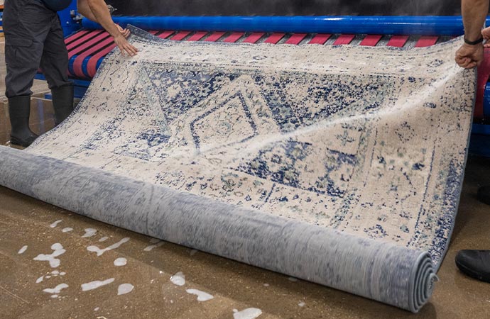 Experts using machine to clean rug