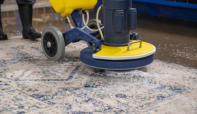 professionally rug cleaning