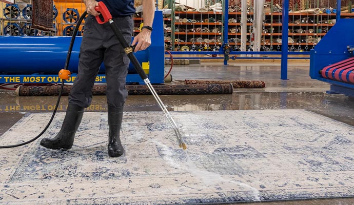 rug cleaning with equipment
