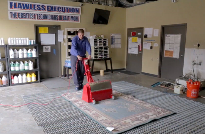 professional worker cleaning rug