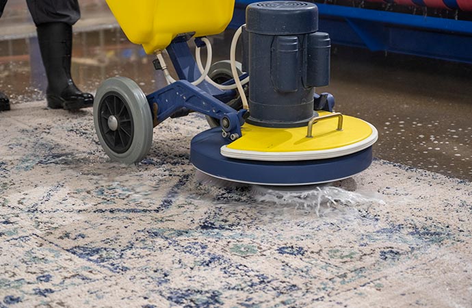 Rug deep cleaning 