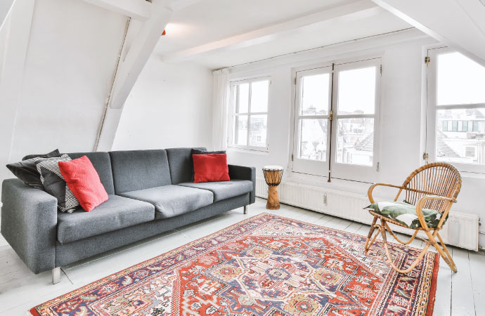 Professional rug protection services