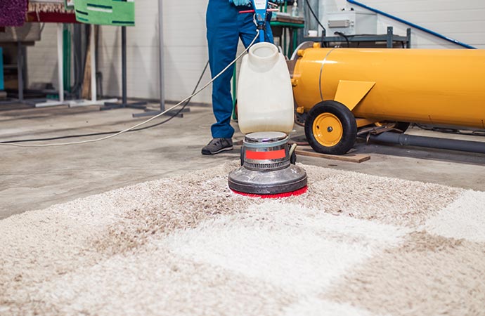 Professional rug steam cleaning service by an experts